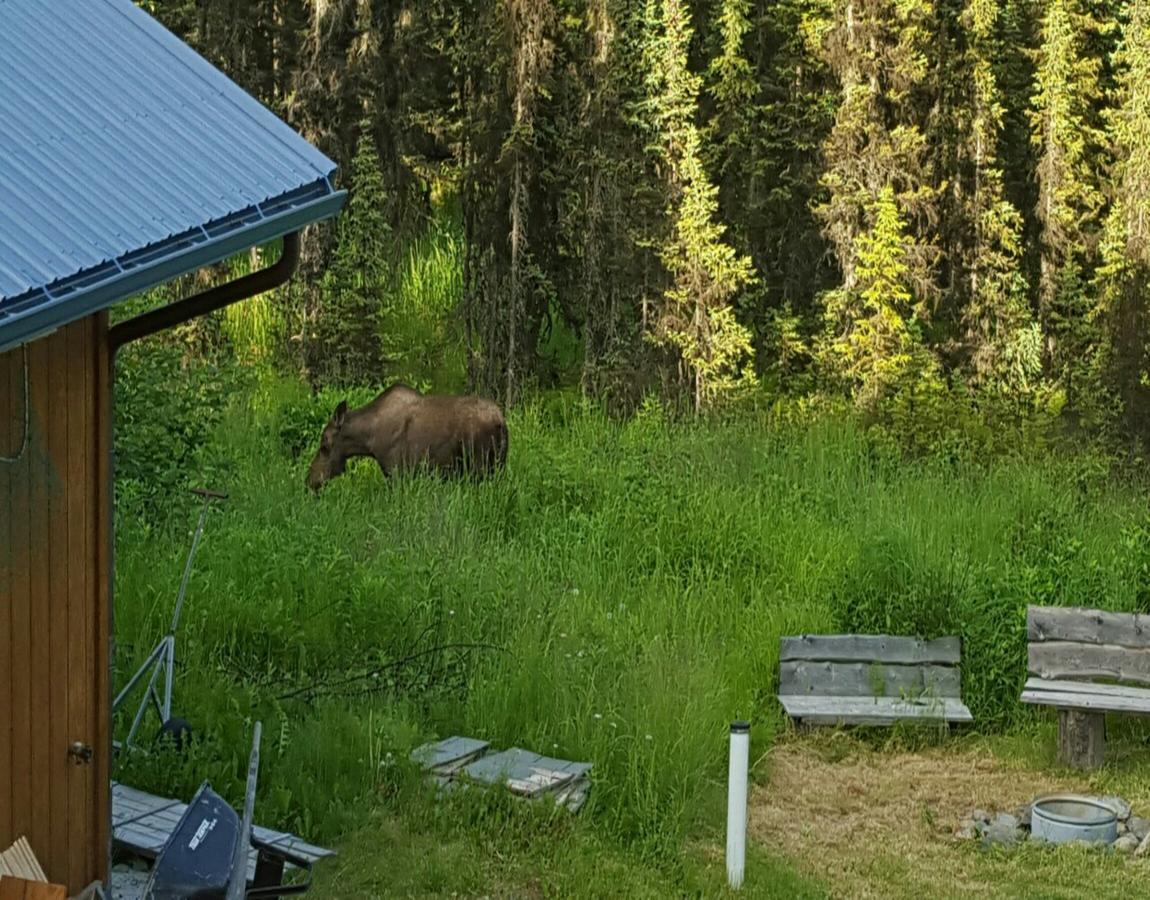 Southern Bluff Bed & Breakfast Soldotna Eksteriør bilde